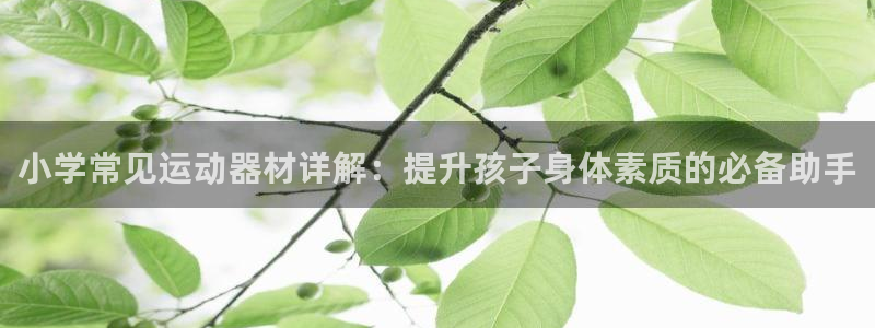 意昂体育3开户：小学常见运动器材详解：提升孩子身体素