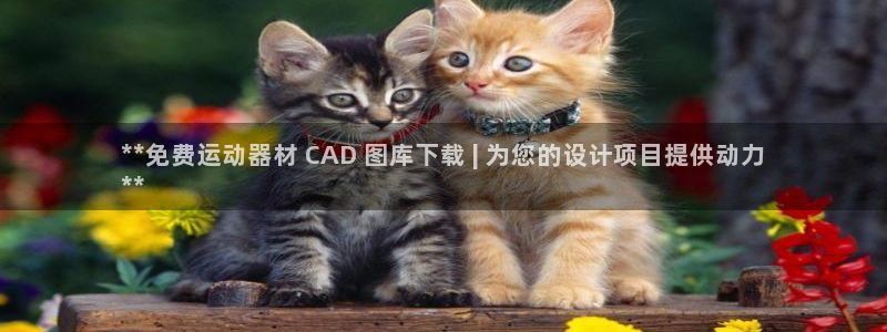 意昂体育3注册：**免费运动器材 CAD 图库下载 