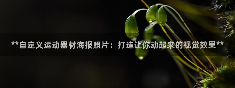 意昂体育3软件:**自定义运动器材海报照片:打造让你动起来的