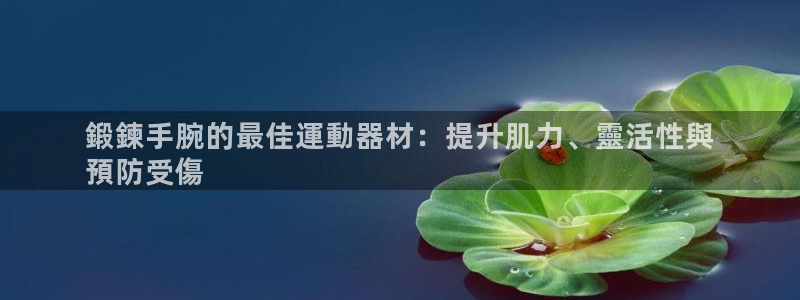 意昂3娱乐40996:鍛鍊手腕的最佳運動器材:提升肌力、靈活