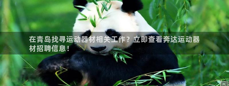 意昂体育3是干嘛的公司:在青岛找寻运动器材相关工作?立即查看