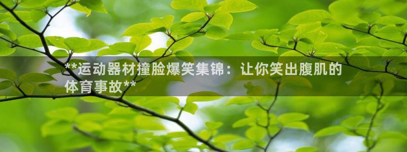 意昂3集团:**运动器材撞脸爆笑集锦:让你笑出腹肌的
体育事